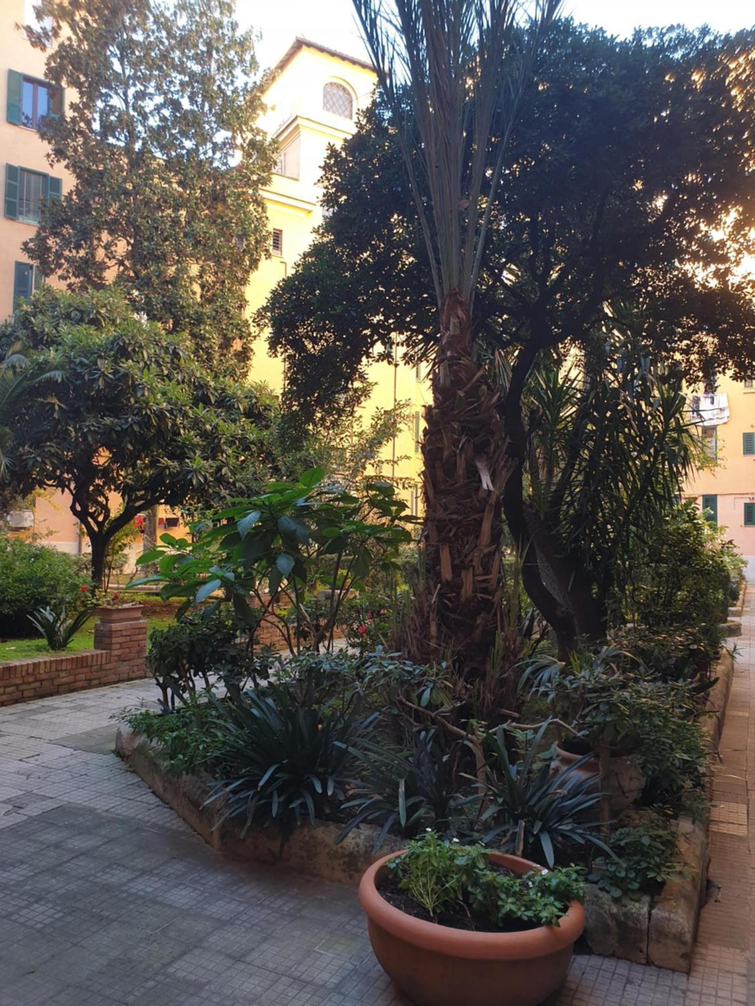 La Doriana Rom